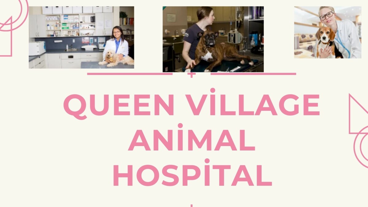 queen village animal hospital