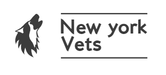 new york vets