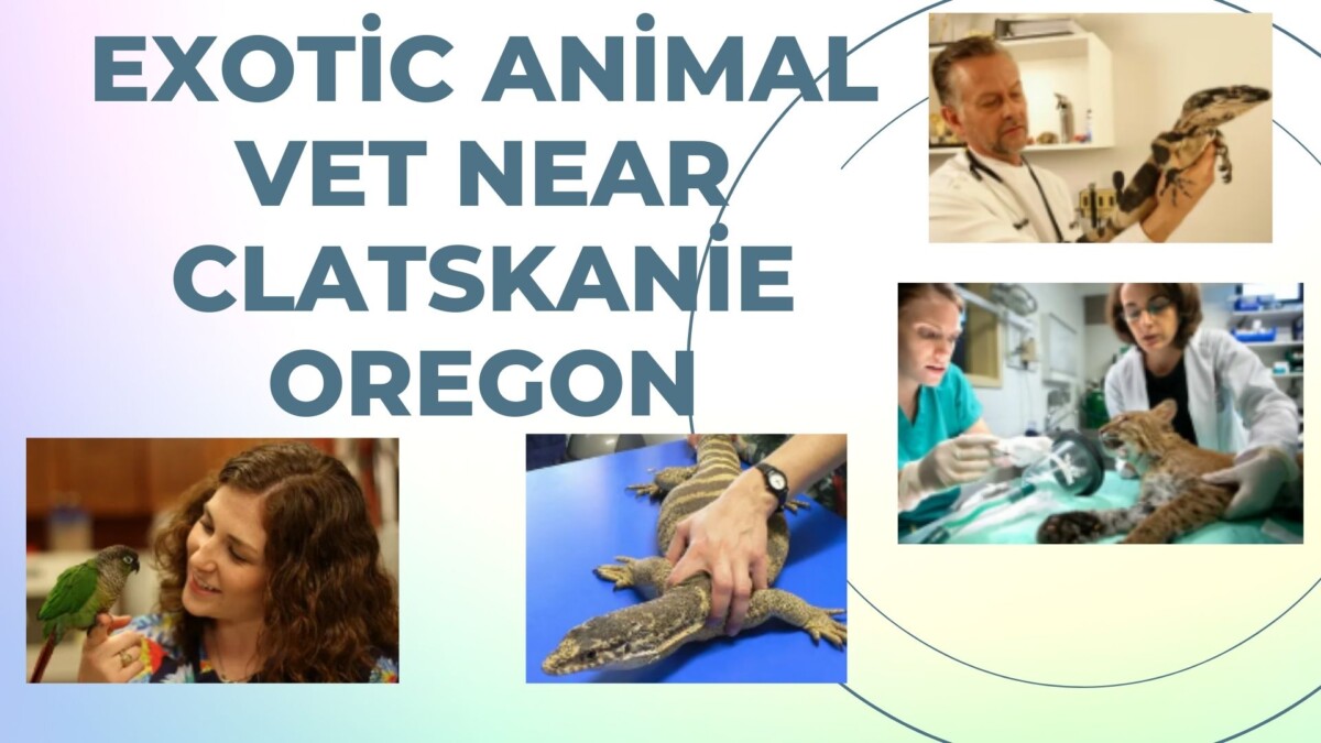 Exotic Animal Vet Near Clatskanie Oregon - valley veterinary clinic
