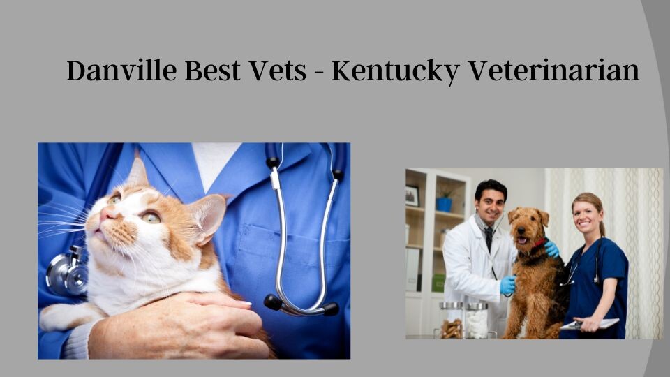 Danville Best Vets - Kentucky Veterinarian