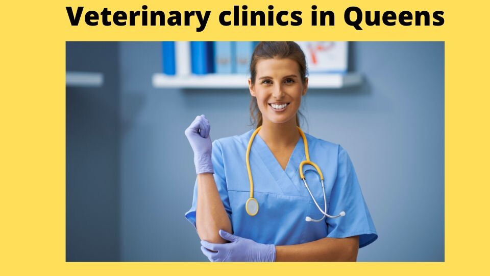 Veterinary clinics in Queens