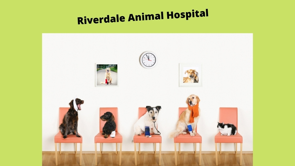 Riverdale Animal Hospital