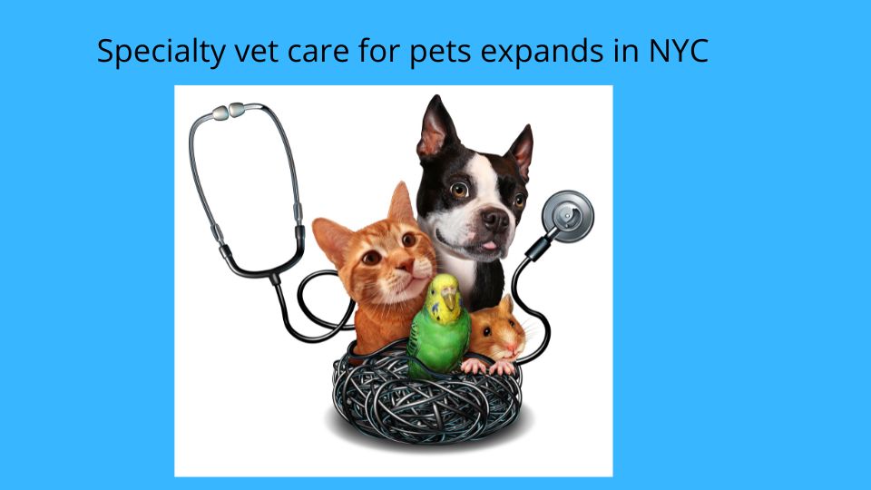 Specialty vet care for pets expands in NYC