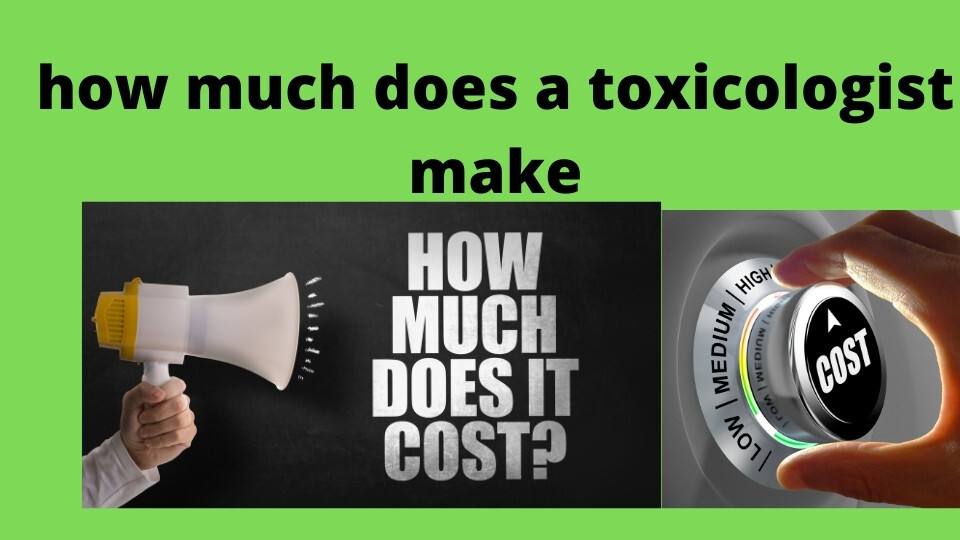 how much does a toxicologist make