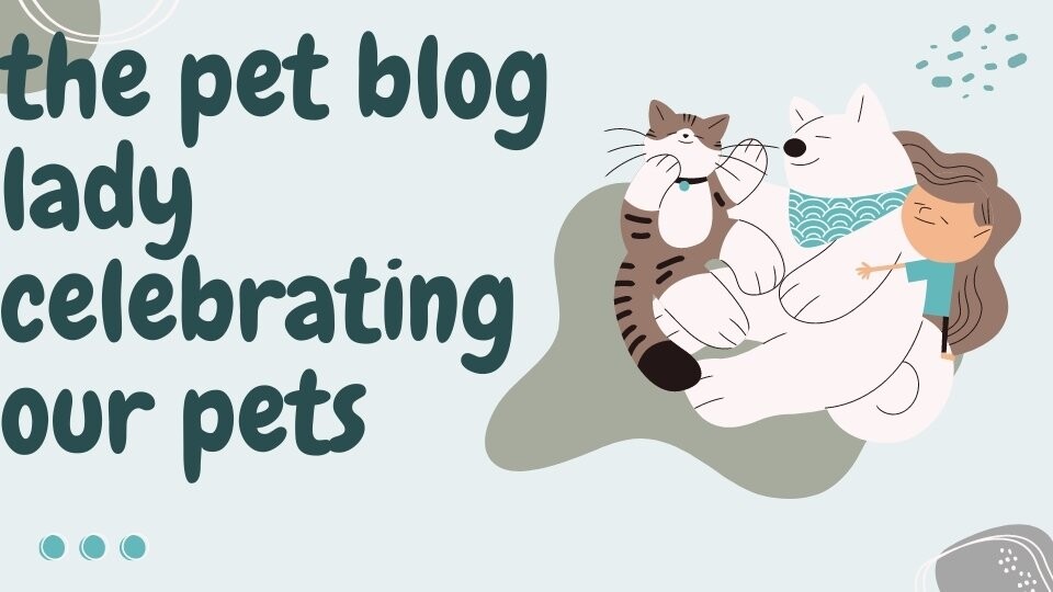 the pet blog lady celebrating our pets