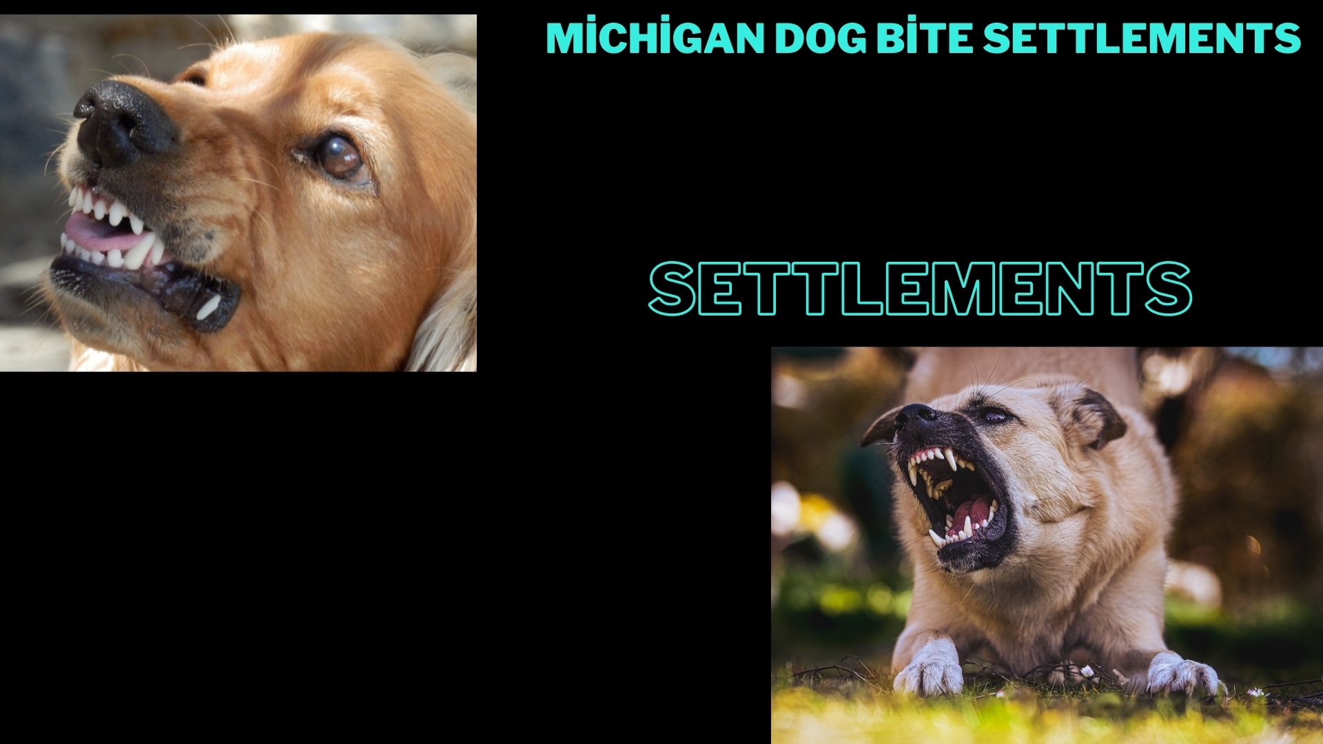 Michigan dog bite settlements