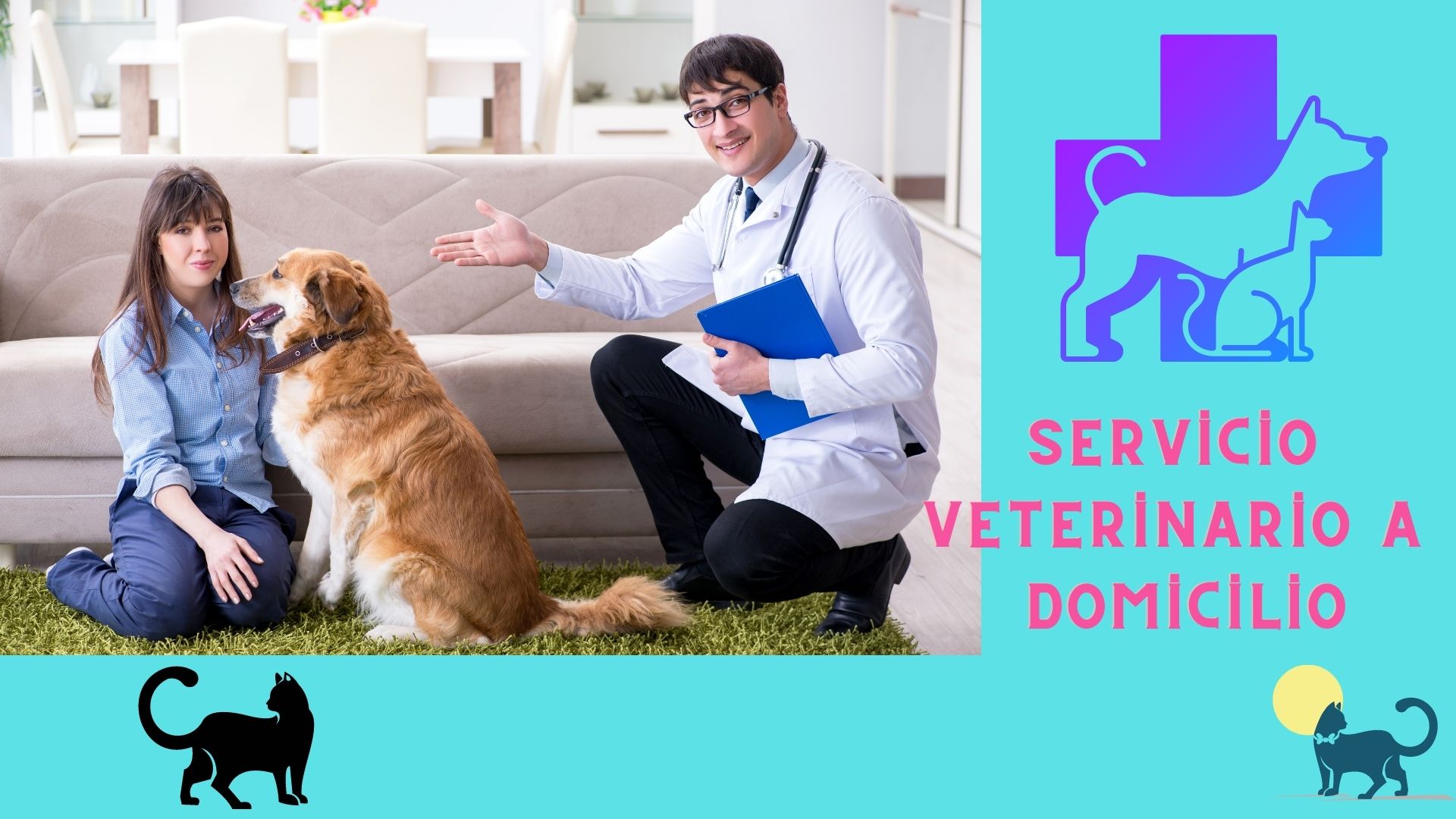 Servicio veterinario a domicilio