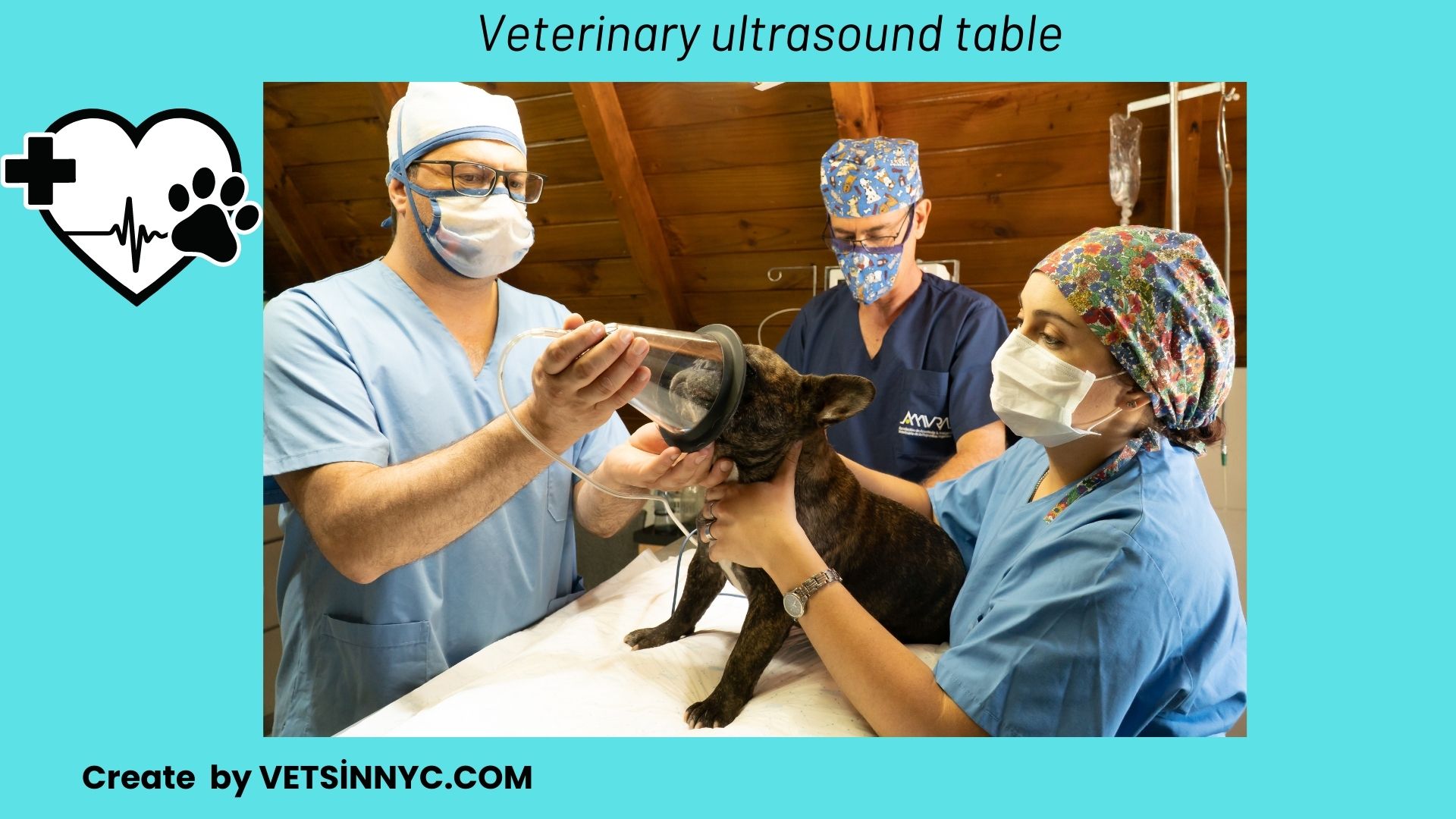 veterinary ultrasound table