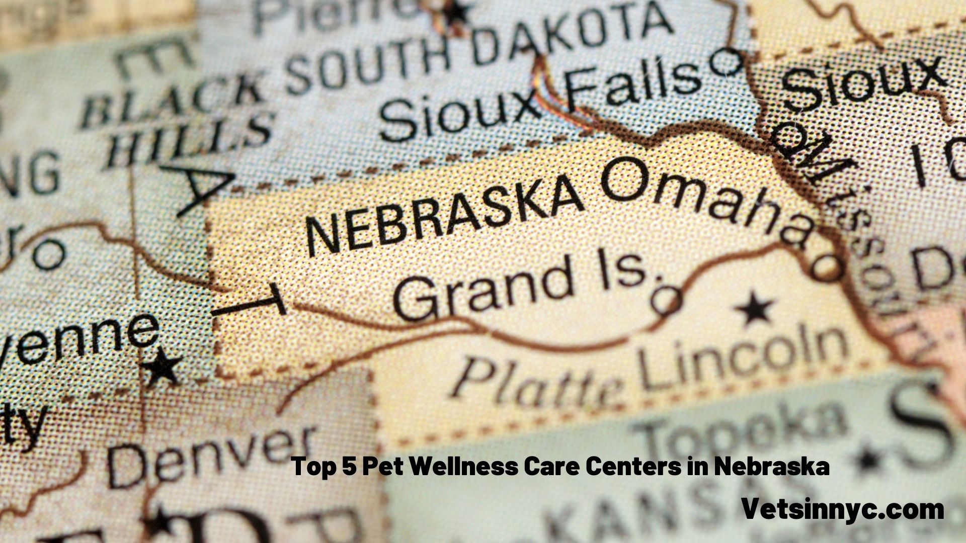 Top 5 Pet Wellness Care Centers in Nebraska