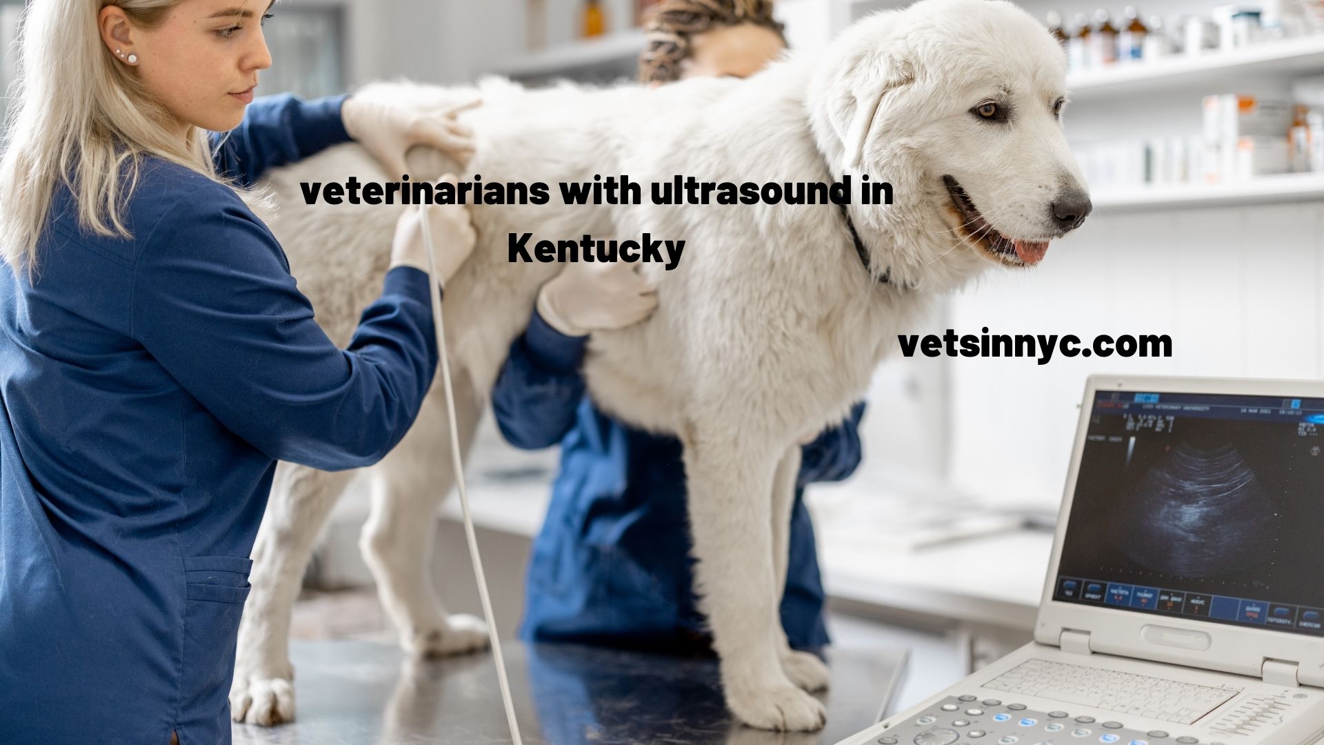 veterinarians with ultrasound in Kentucky